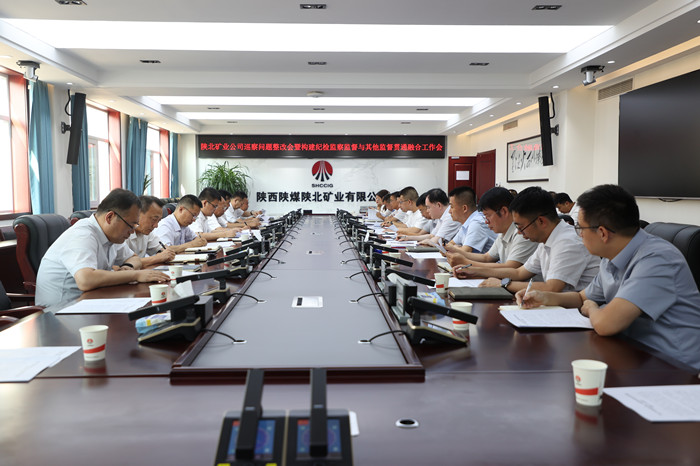 20250729公司巡察问题整改会_副本.jpg