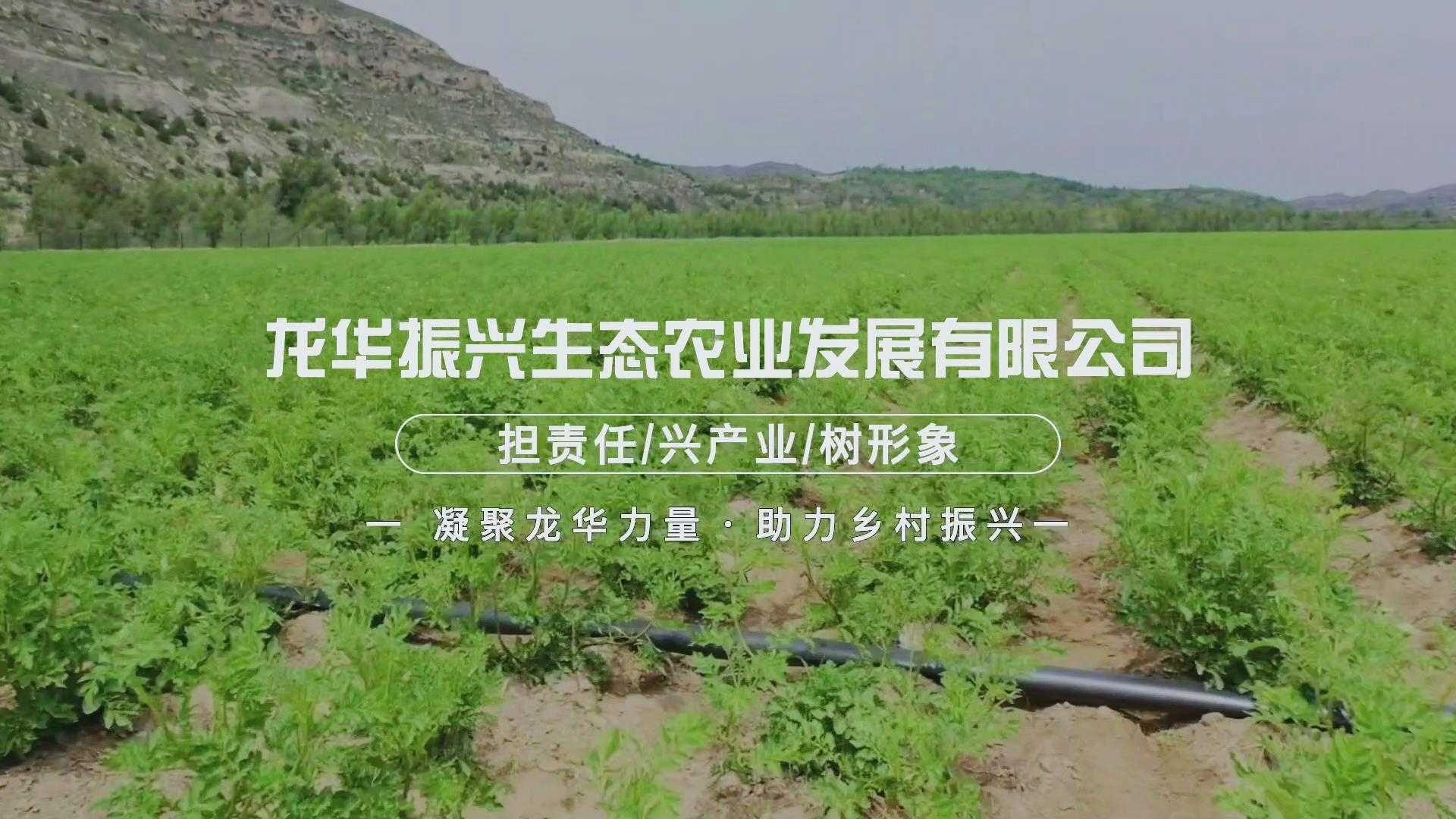 GCGC黄金城集团-官网